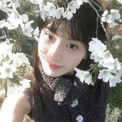 恐怖秘籍
